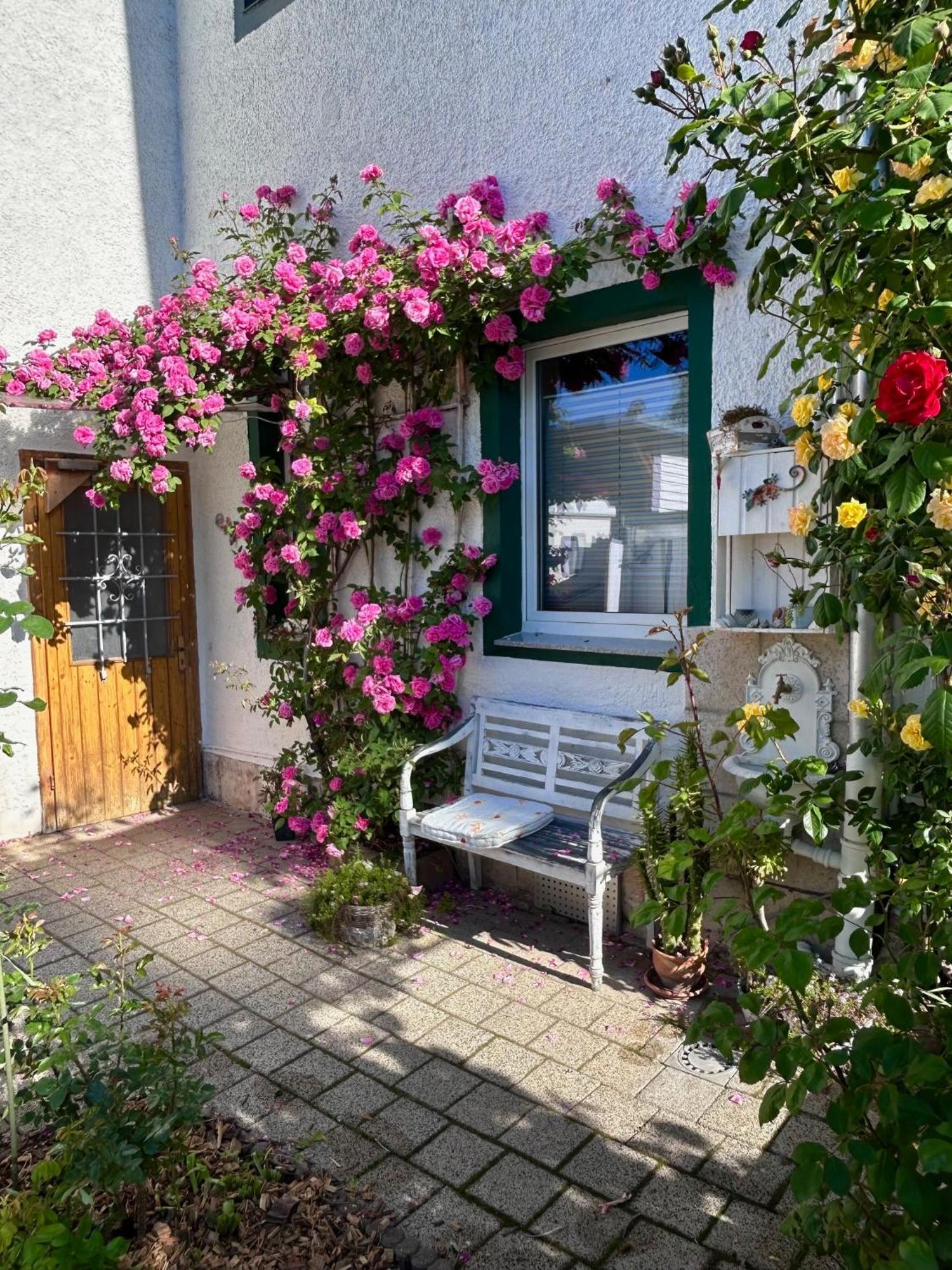 Tina Apartment Naumburg (Saale)